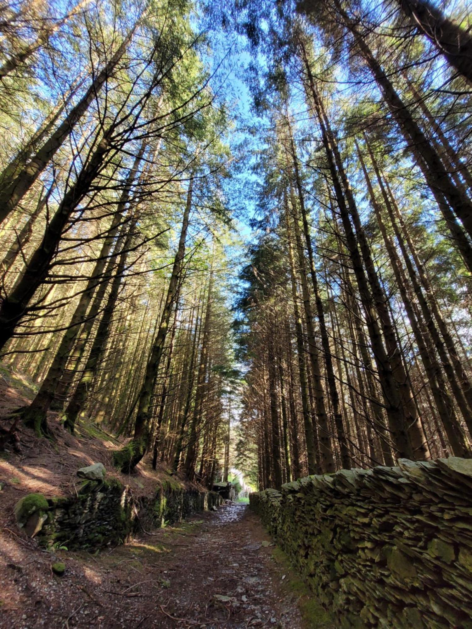 The Granary Corris On The Edge Of The Dyfi Forest מראה חיצוני תמונה
