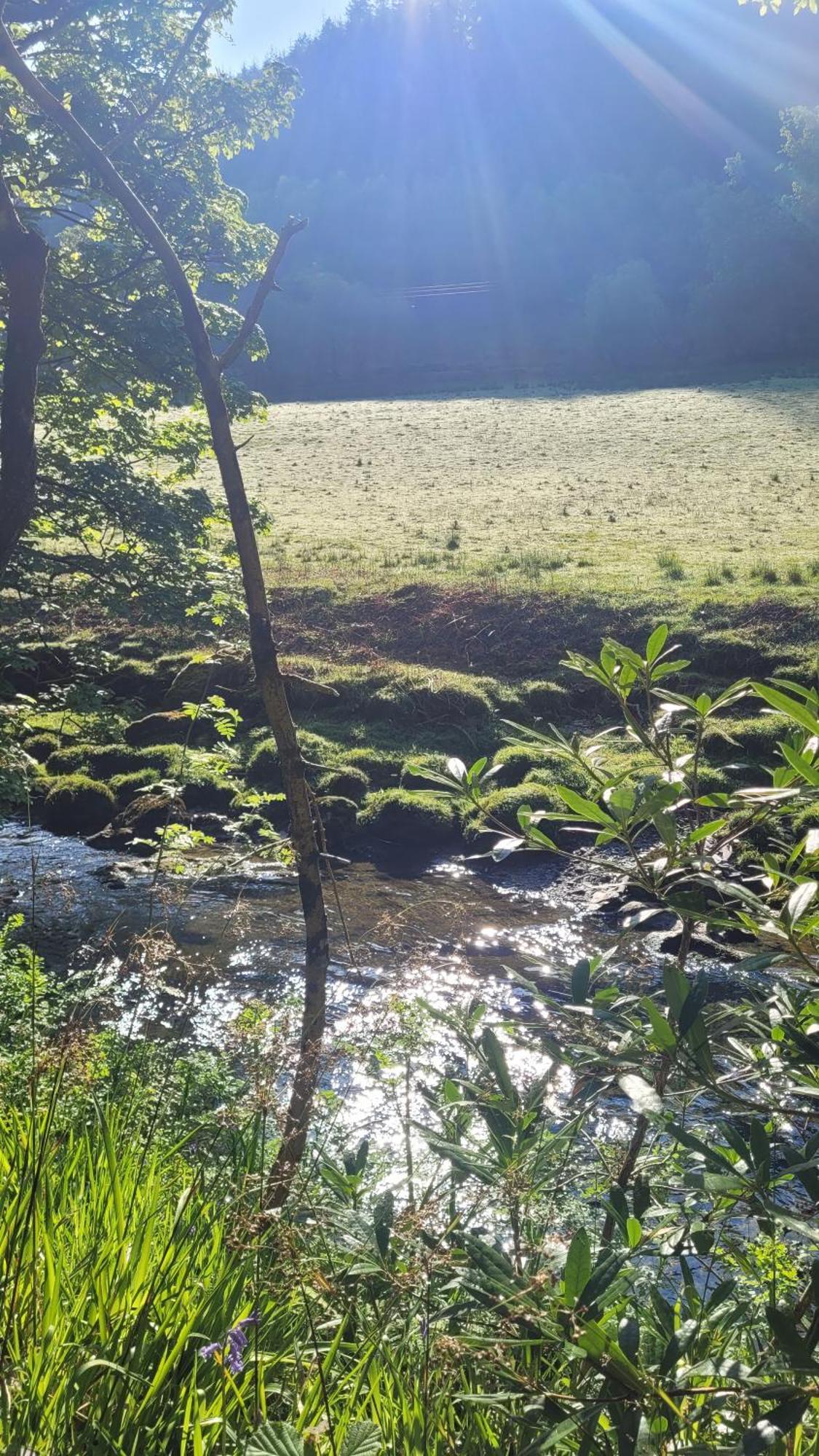 The Granary Corris On The Edge Of The Dyfi Forest מראה חיצוני תמונה