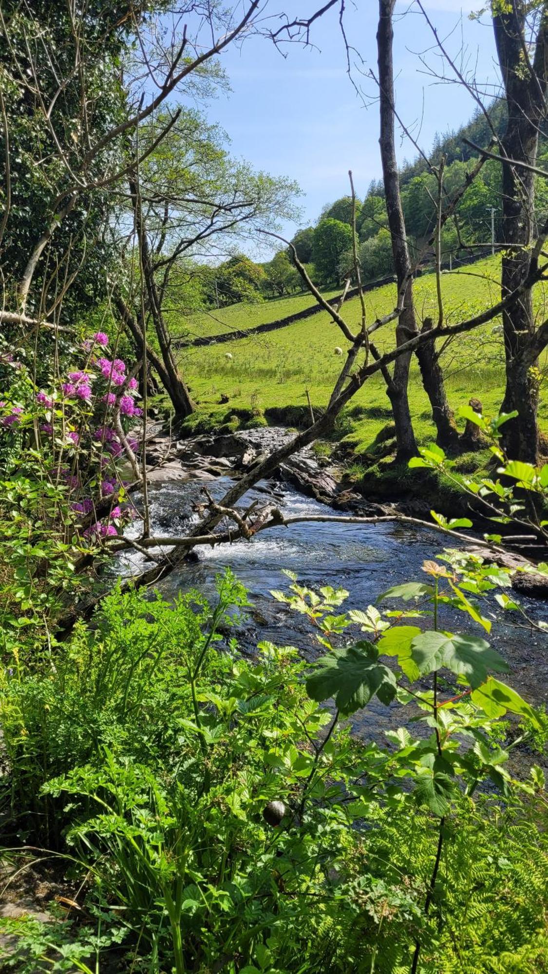 The Granary Corris On The Edge Of The Dyfi Forest מראה חיצוני תמונה