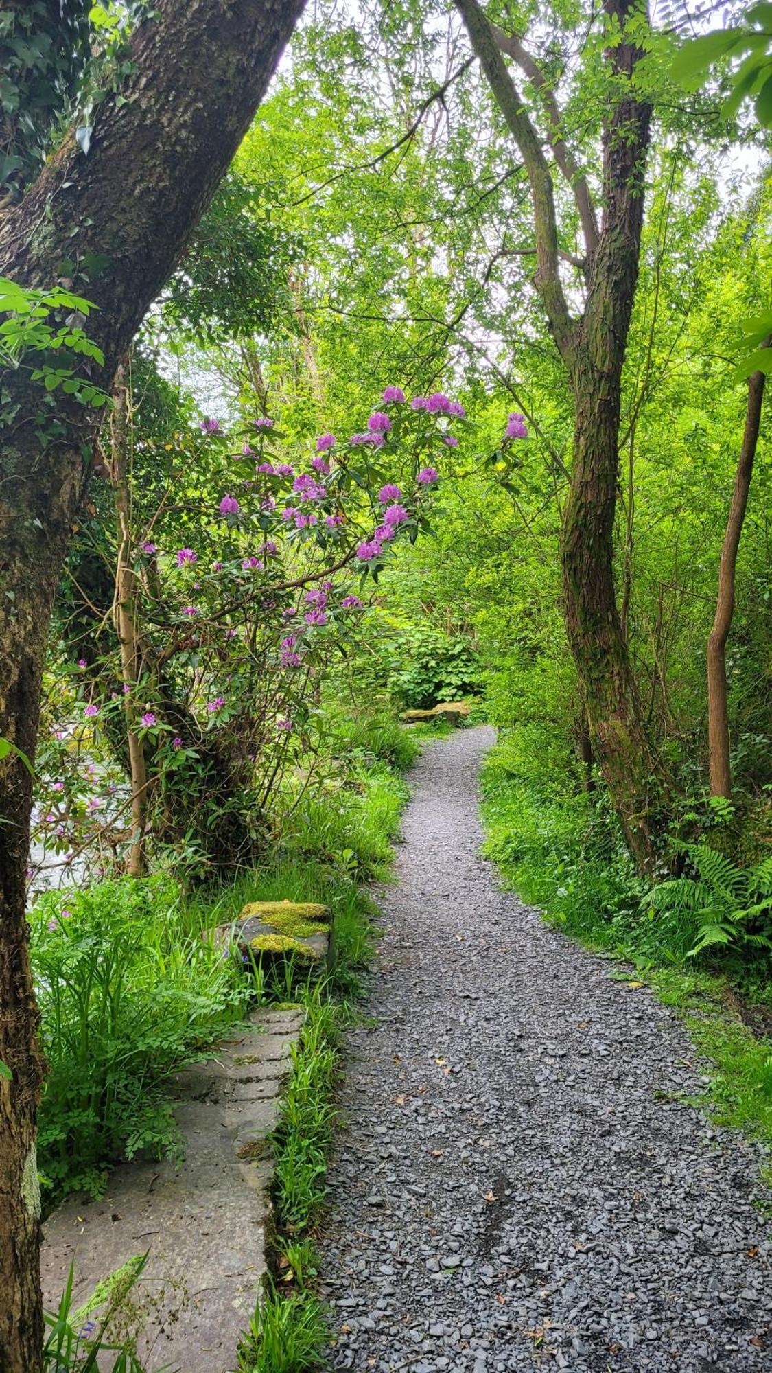 The Granary Corris On The Edge Of The Dyfi Forest מראה חיצוני תמונה